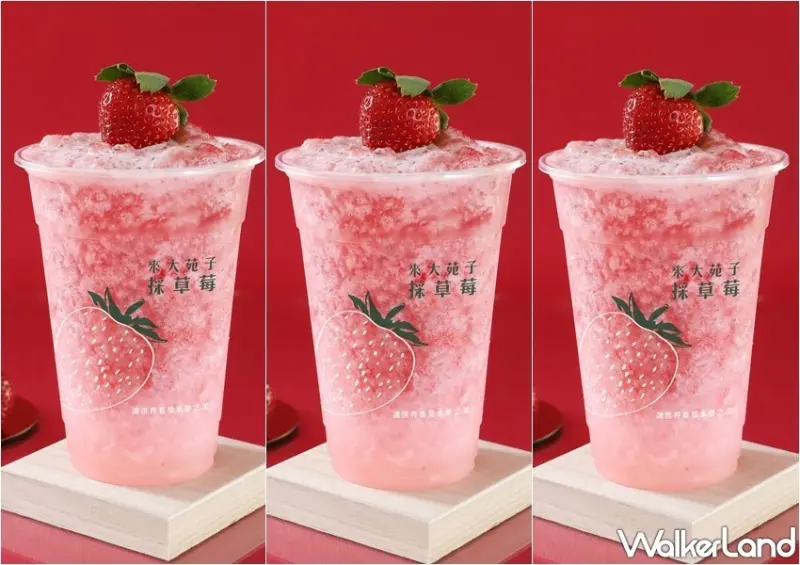 大苑子草莓季 / WalkerLand窩客島提供 未經許可，不得轉載