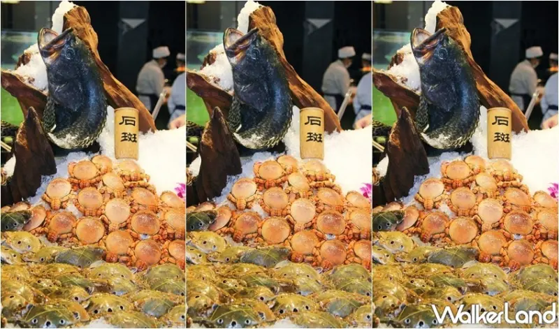 千葉火鍋 / WalkerLand窩客島整理提供 未經許可，不得轉載