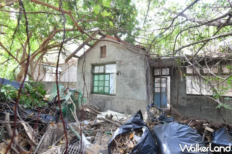 將軍村 / WalkerLand窩客島提供 未經許可，不得轉載