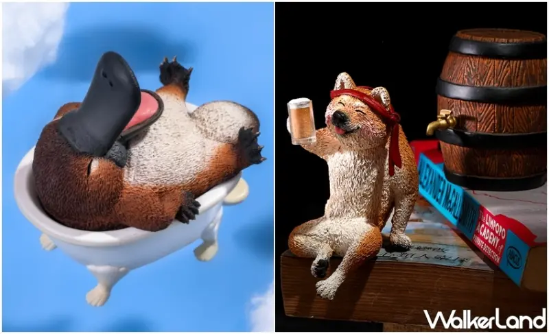 朝隈俊男 / WalkerLand窩客島提供 未經許可，不得轉載