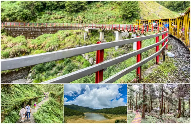 1920年代開通營運的太平山森林鐵路轉型為「太平山蹦蹦車鐵道」，穿梭歲月漫步全球最美小路，超人氣見晴懷古步道非去不可。