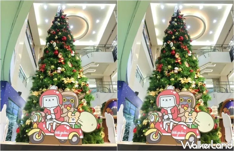 反應過激的貓快閃店 / WalkerLand窩客島整理提供 未經許可，不得轉載