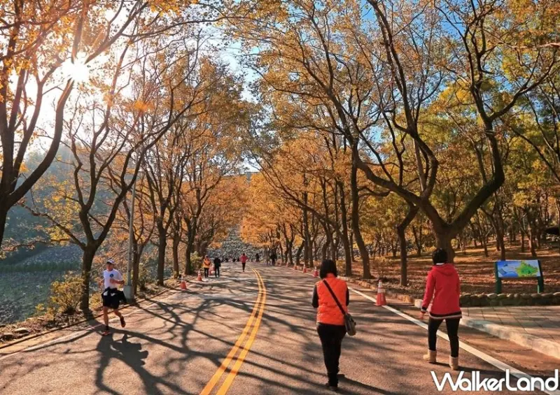 桃園石門活魚電子美食券 / WalkerLand窩客島整理提供 未經許可不可轉載