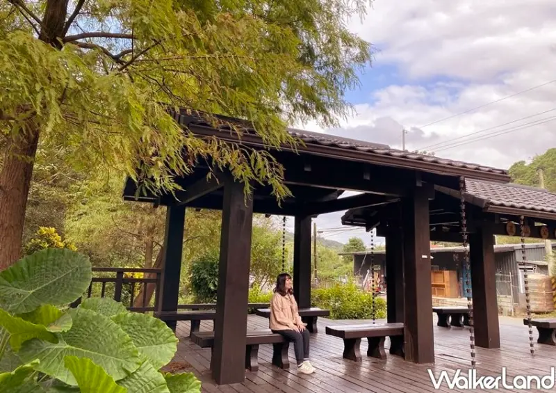 南港落羽松秘境「麗山農民廣場」 / WalkerLand窩客島整理提供 未經許可不可轉載