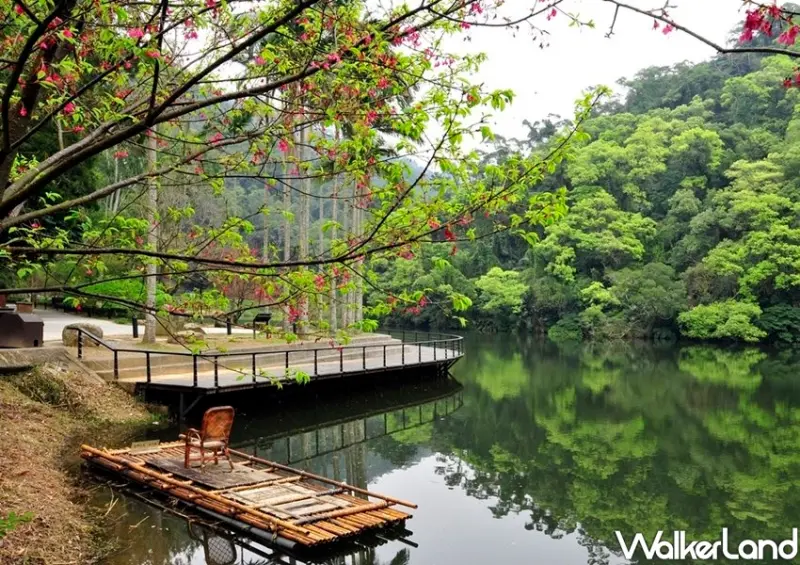 桃園石門活魚電子美食券 / WalkerLand窩客島整理提供 未經許可不可轉載