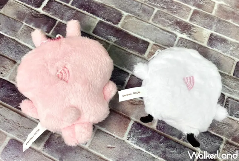 icash / WalkerLand窩客島提供 未經許可，不得轉載