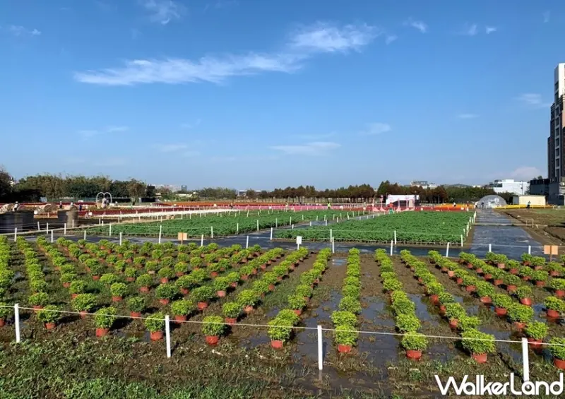 桃園綠色生活悠遊節 / WalkerLand窩客島整理提供 未經許可不可轉載