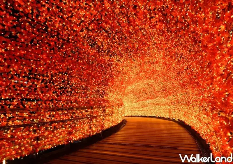 2020新北歡樂耶誕城 / WalkerLand窩客島整理提供 未經許可不可轉載