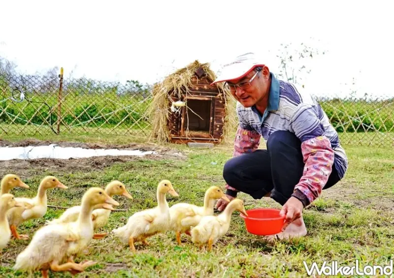 三重鴨鴨公園地景藝術展 / WalkerLand窩客島整理提供 未經許可不可轉載