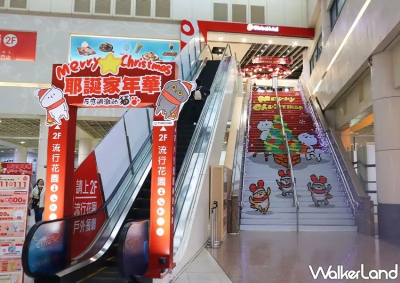 反應過激的貓快閃店 / WalkerLand窩客島整理提供 未經許可，不得轉載