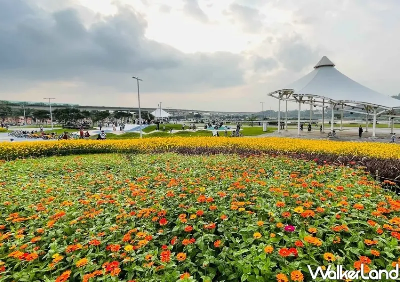 大佳河濱公園花海 / WalkerLand窩客島整理提供 未經許可不可轉載