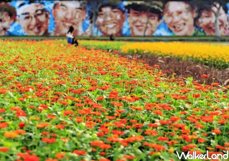 大佳河濱公園花海 / WalkerLand窩客島整理提供 未經許可不可轉載