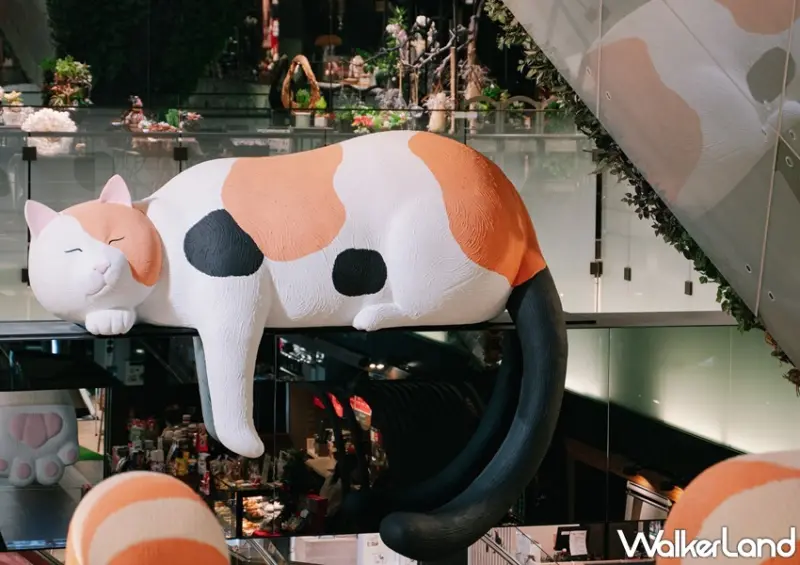 11 PARK，遇見貓 / WalkerLand窩客島整理提供 未經許可，不得轉載