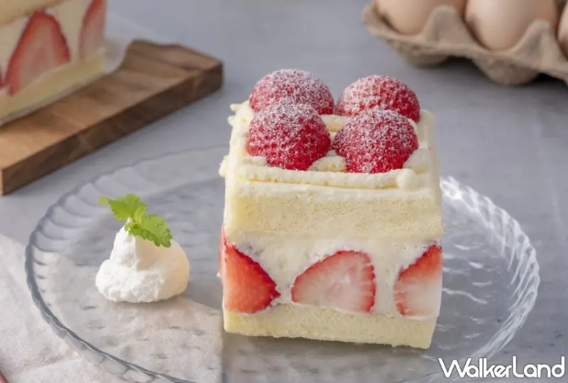 TARTINE唐緹 / WalkerLand窩客島提供 未經許可，不得轉載