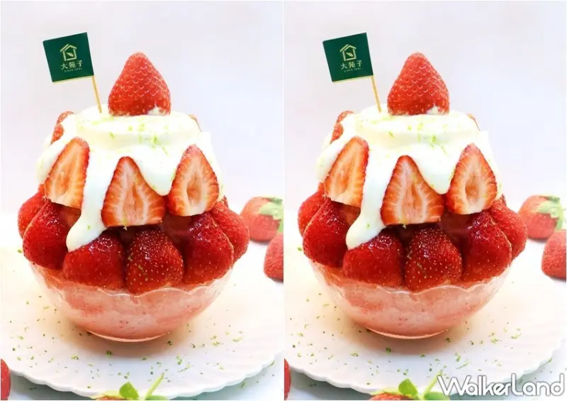 大苑子市府夢想店限定新品 / WalkerLand窩客島整理提供 未經許可，不得轉載