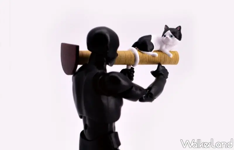 貓械庫   / WalkerLand窩客島提供 未經許可，不得轉載