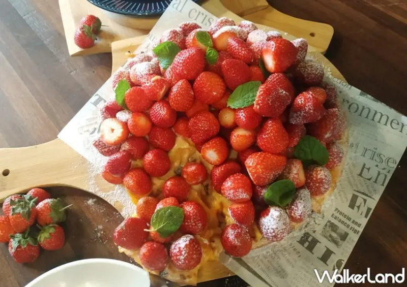 陽光皇后 優惠活動 / WalkerLand窩客島整理提供 未經許可，不得轉載