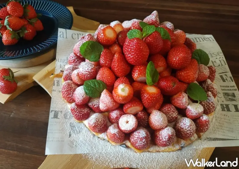 陽光皇后 優惠活動 / WalkerLand窩客島整理提供 未經許可，不得轉載