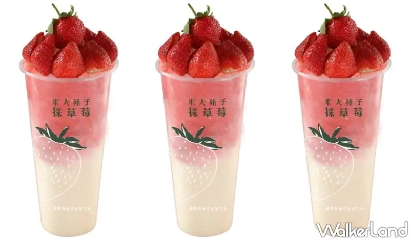 大苑子 / WalkerLand窩客島整理提供 未經許可，不得轉載