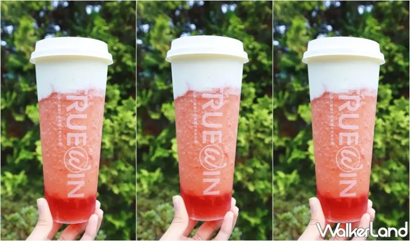 初韻 / WalkerLand窩客島提供 未經許可，不得轉載