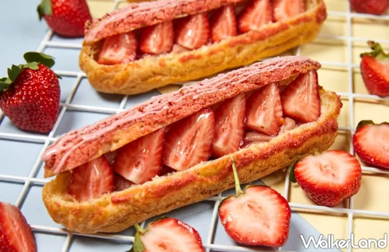 PAUL  / WalkerLand窩客島提供 未經許可，不得轉載