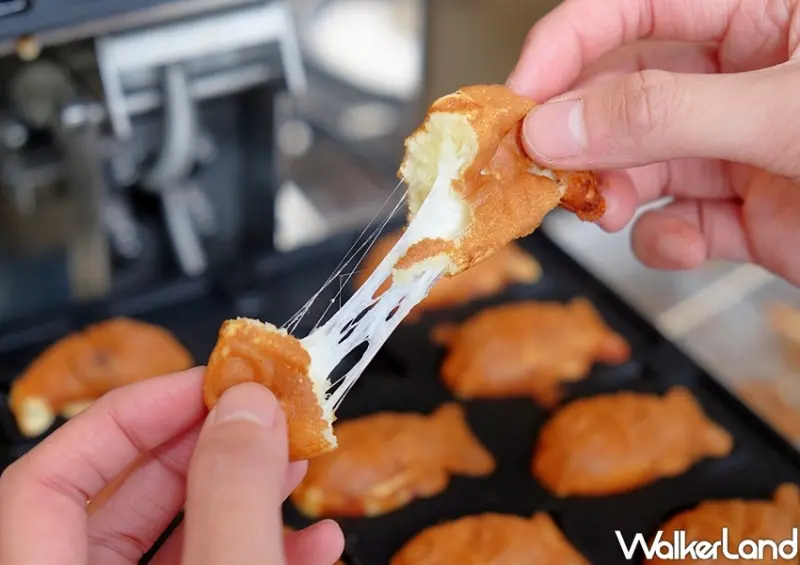 桃園台茂 金魚雞蛋糕kisu kisu / WalkerLand窩客島整理提供 未經許可不可轉載