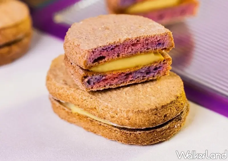 達克瓦茲3間 / WalkerLand窩客島整理提供 未經許可，不得轉載