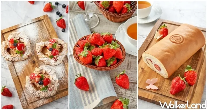 39間草莓甜點清單 / WalkerLand窩客島整理提供 未經許可，不得轉載