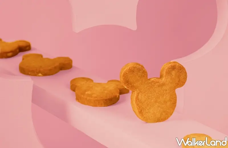 BAC  / WalkerLand窩客島提供 未經許可，不得轉載