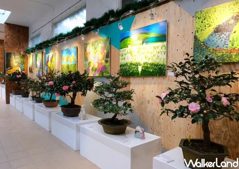 陽明山「臺北茶花展」 / WalkerLand窩客島整理提供 未經許可不可轉載