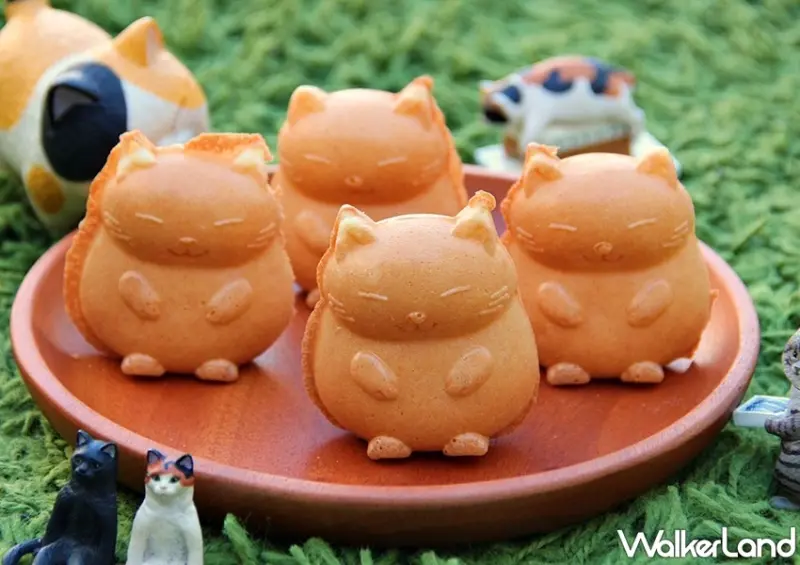 「喵喵好友～喵派對～」不倒翁互動展 / WalkerLand窩客島整理提供 未經許可，不得轉載