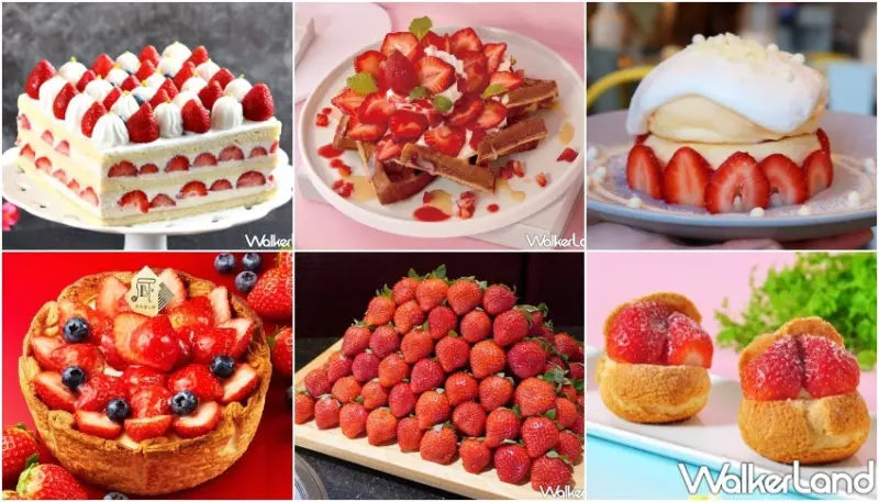 39間草莓甜點清單 / WalkerLand窩客島整理提供 未經許可，不得轉載
