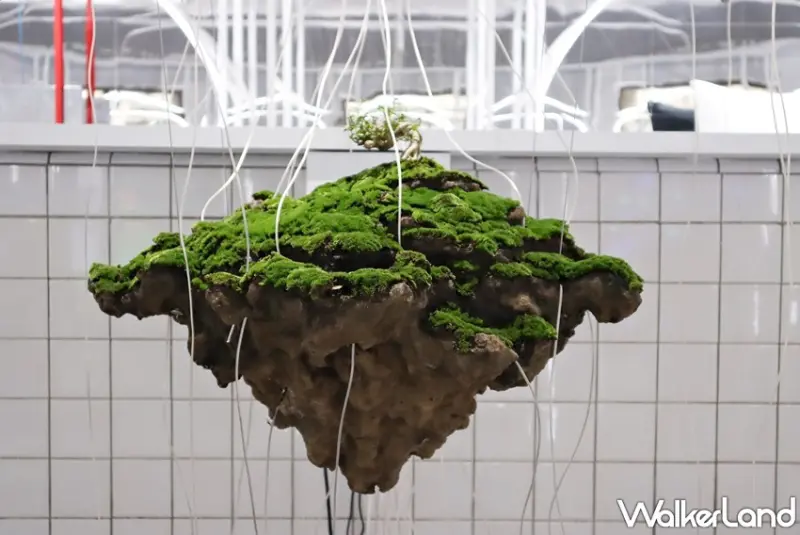 遇 · 場  P · L · A · C · E / WalkerLand窩客島提供 未經許可，不得轉載