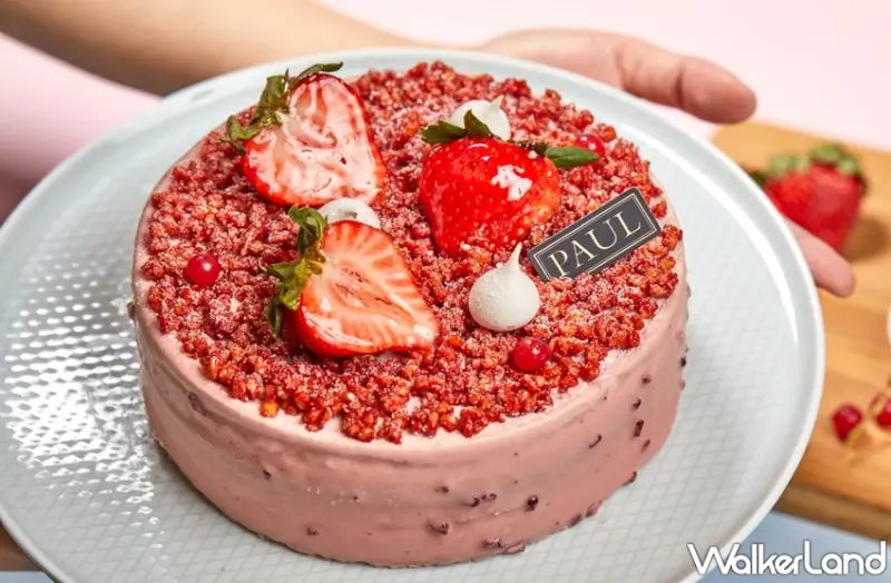 PAUL  / WalkerLand窩客島提供 未經許可，不得轉載