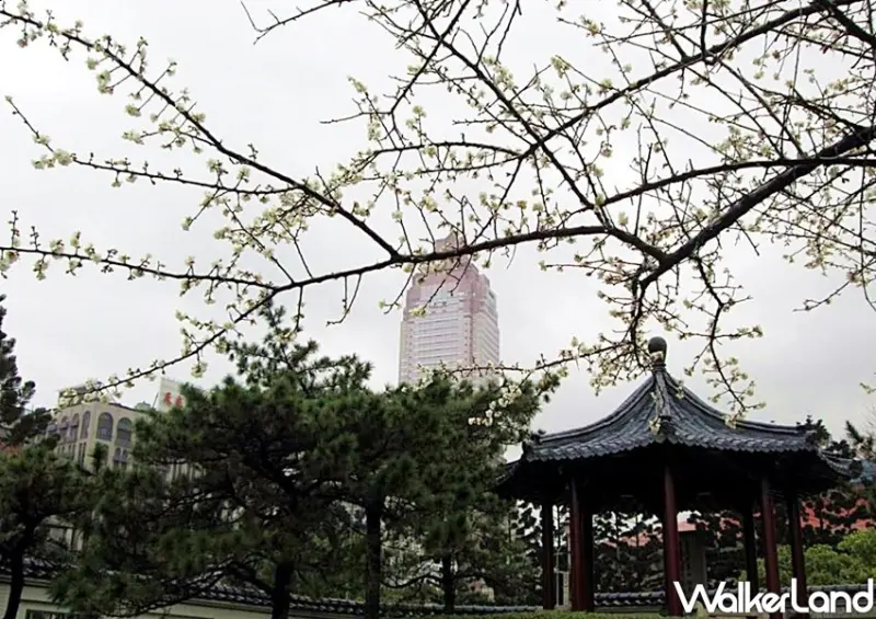 台北車站、日式梅花園「逸仙公園」/ WalkerLand窩客島整理提供 未經許可不可轉載