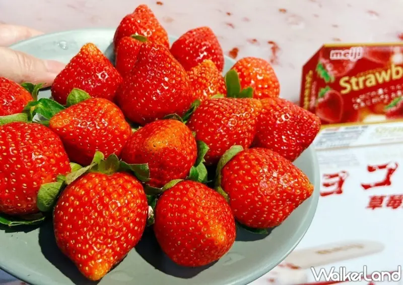 39間草莓甜點清單 / WalkerLand窩客島整理提供 未經許可，不得轉載