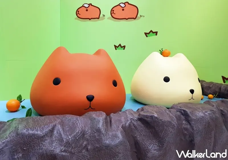 水豚君療癒時光期間限定店 