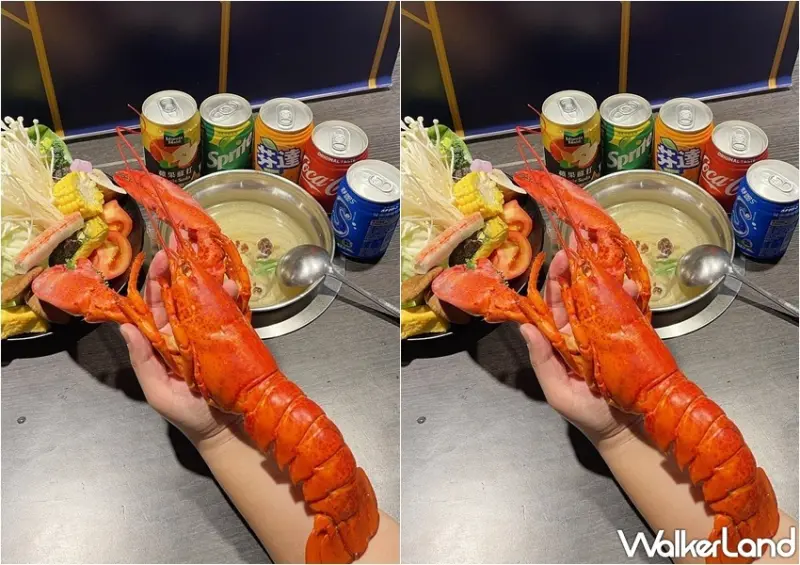 新千葉火鍋 / WalkerLand窩客島提供 未經許可，不得轉載