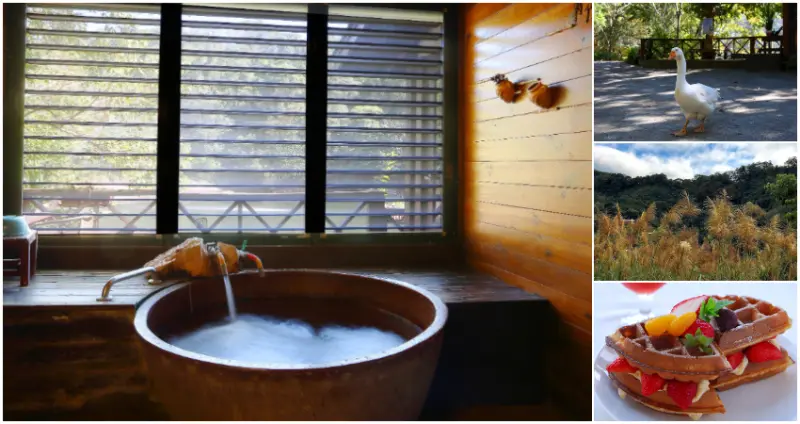 「湖畔花時間」隱身在山湖之間，是一個寧靜悠閒的泡湯好去處，還有大湖有名的草莓與草莓周邊商品可以品嚐喔。