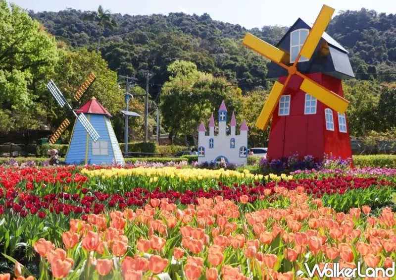 2021士林官邸鬱金香展 / WalkerLand窩客島整理提供 未經許可不可轉載