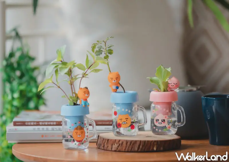Kakao Friends萊恩迷你植栽組、萊恩盲盒公仔/ WalkerLand窩客島整理提供 未經許可不可轉載