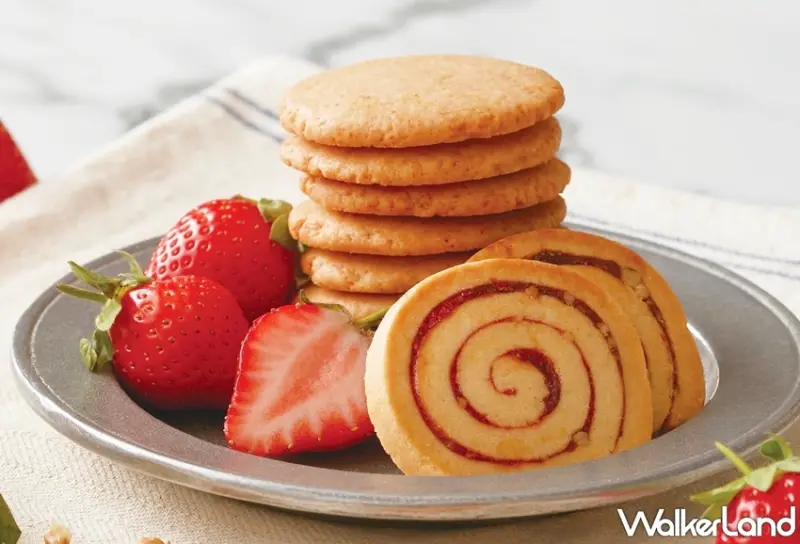 詩特莉Aunt Stella / WalkerLand窩客島提供 未經許可，不得轉載