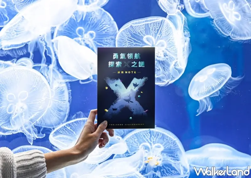 Xpark / WalkerLand窩客島提供 未經許可，不得轉載