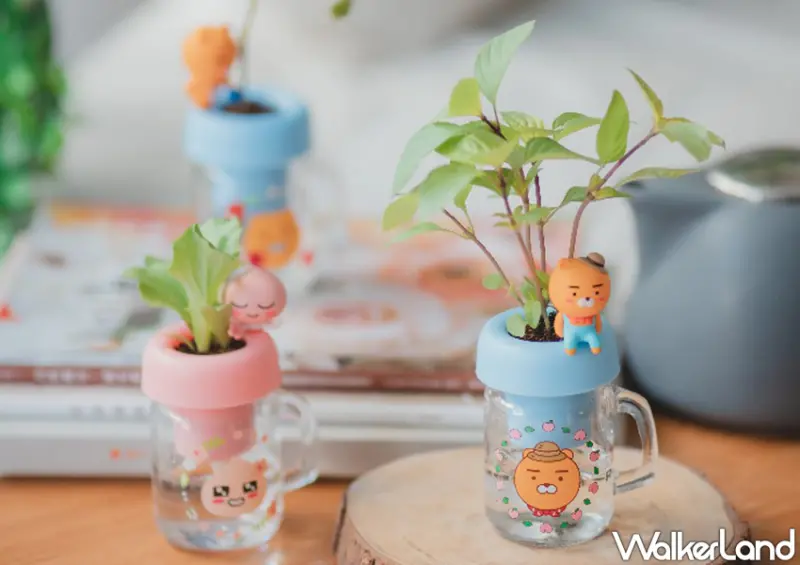 Kakao Friends萊恩迷你植栽組、萊恩盲盒公仔/ WalkerLand窩客島整理提供 未經許可不可轉載