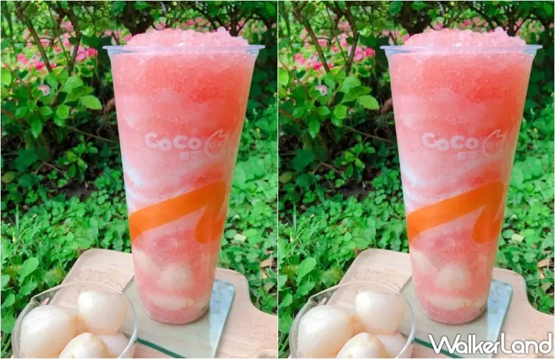 CoCo 櫻花粉荔 / WalkerLand窩客島整理提供 未經許可，不得轉載