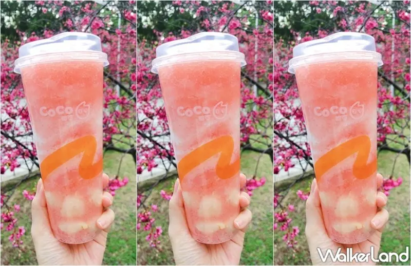 CoCo 櫻花粉荔 / WalkerLand窩客島整理提供 未經許可，不得轉載