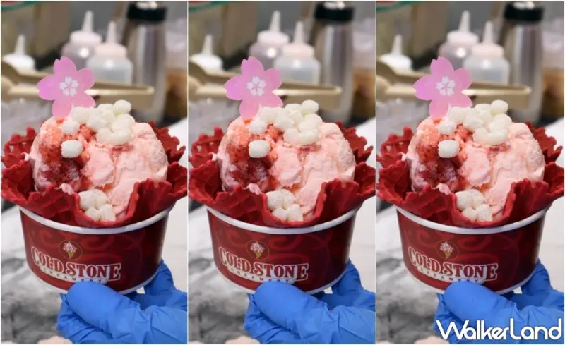 COLD STONE春日櫻花新品 / WalkerLand窩客島提供 未經許可，不得轉載