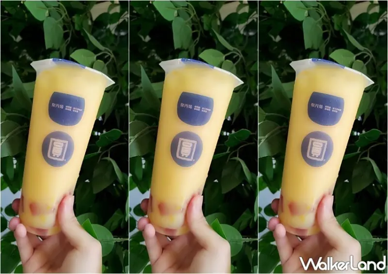 圓石 / WalkerLand窩客島整理提供 未經許可，不得轉載