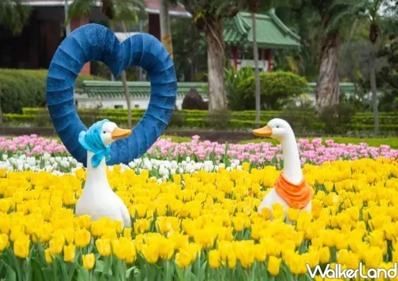 2021士林官邸鬱金香展 / WalkerLand窩客島整理提供 未經許可不可轉載