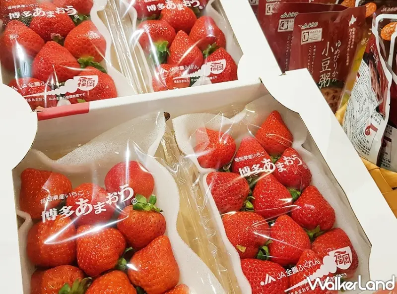 統一時代快閃 / WalkerLand窩客島提供 未經許可，不得轉載